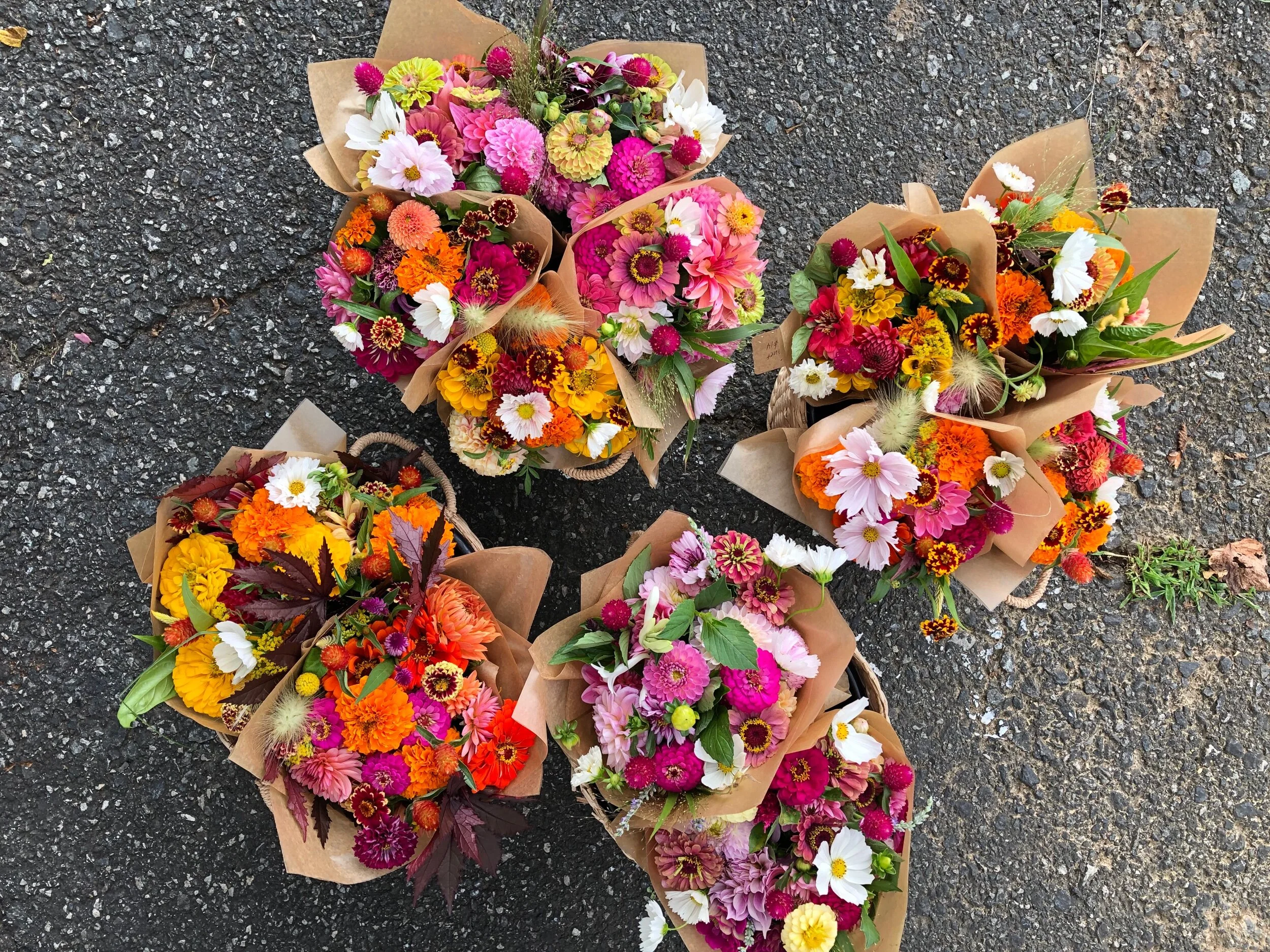 E71A0E24-7FEA-4D50-952F-40D512013F55