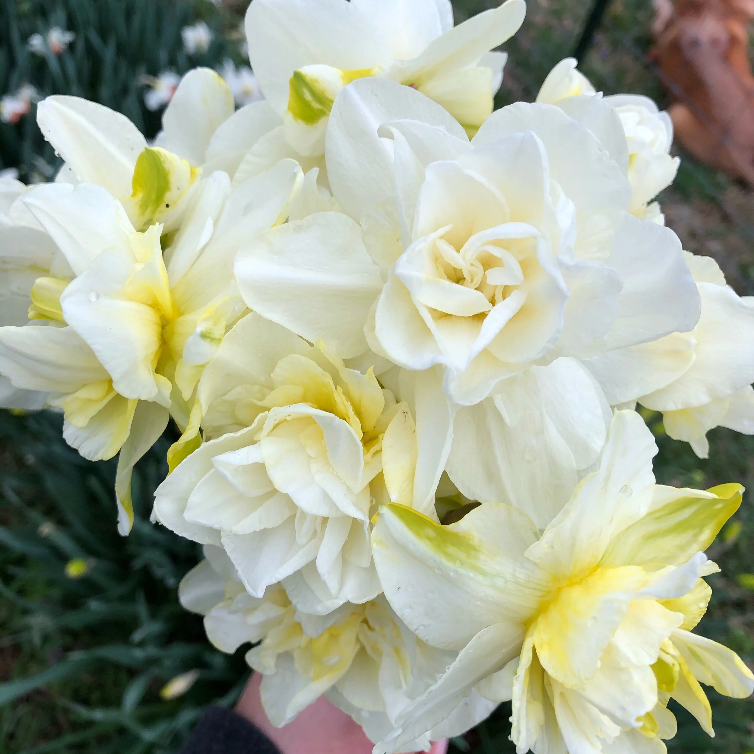 9BE86F08-A25A-4A81-82B2-A2990FFD78AF