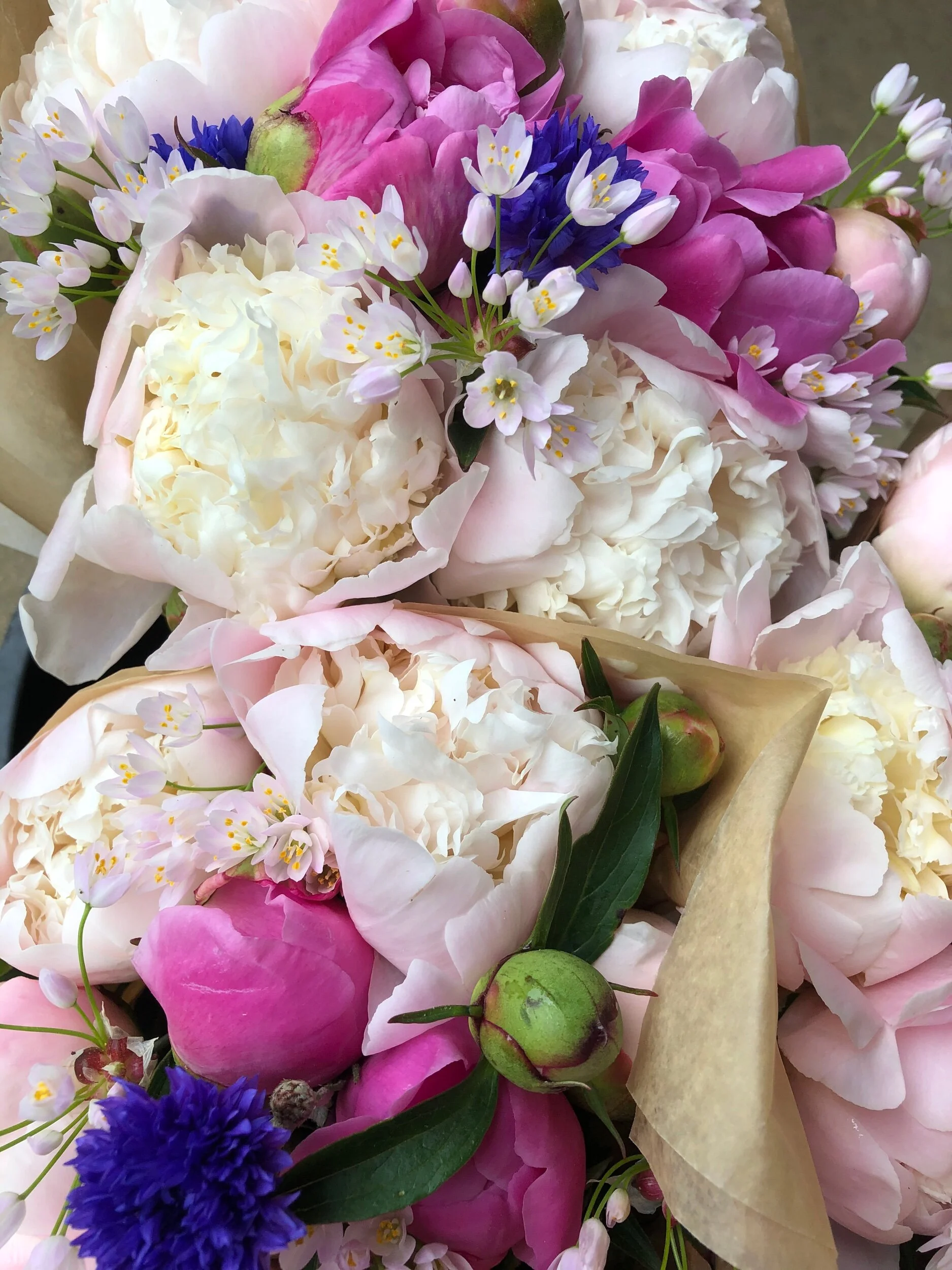 F0955F68-DD00-4BB6-B81F-DB765620EFAE