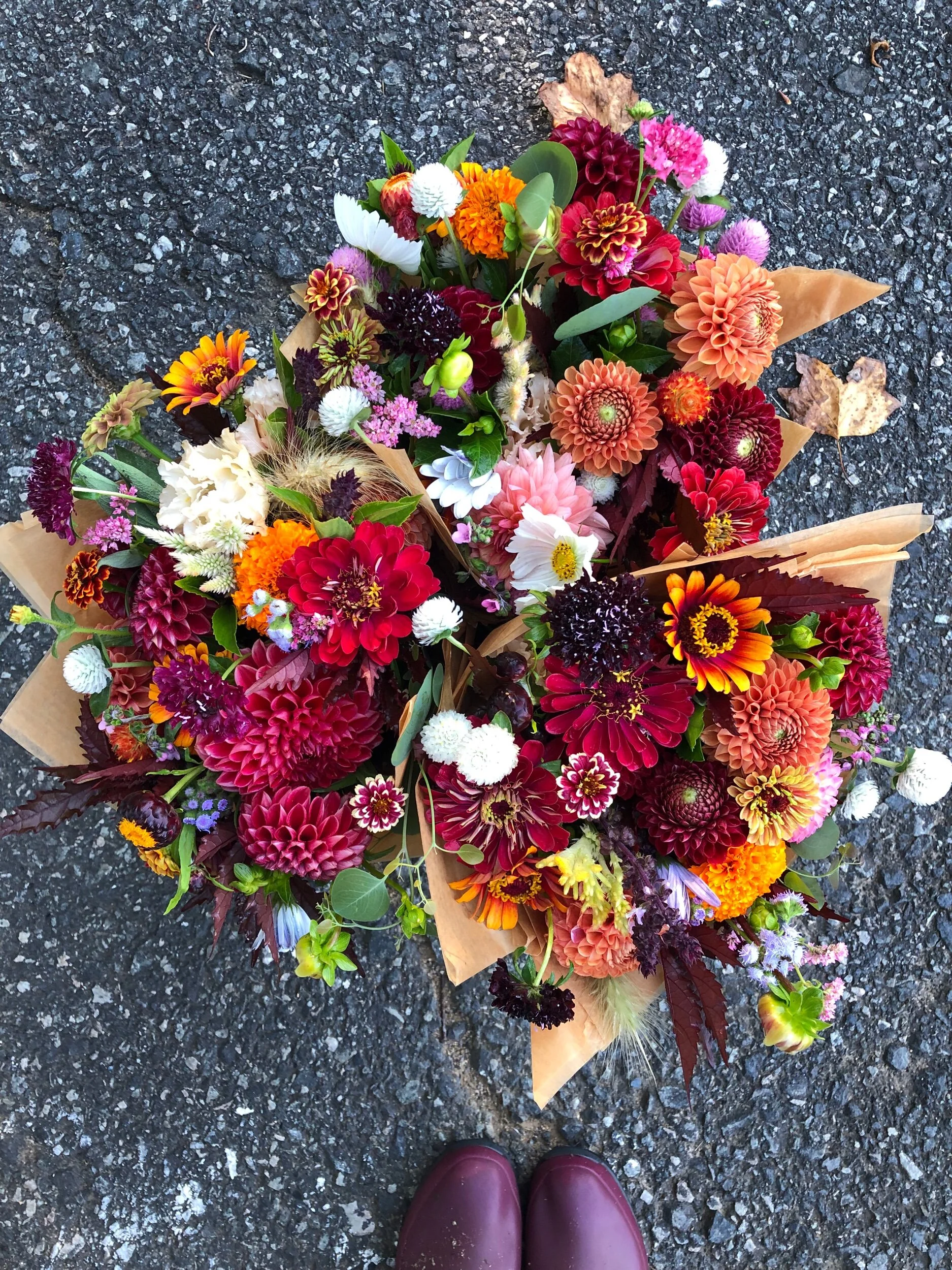 11C7E548-B97C-4E0C-B5EC-FD998CFA2FD1