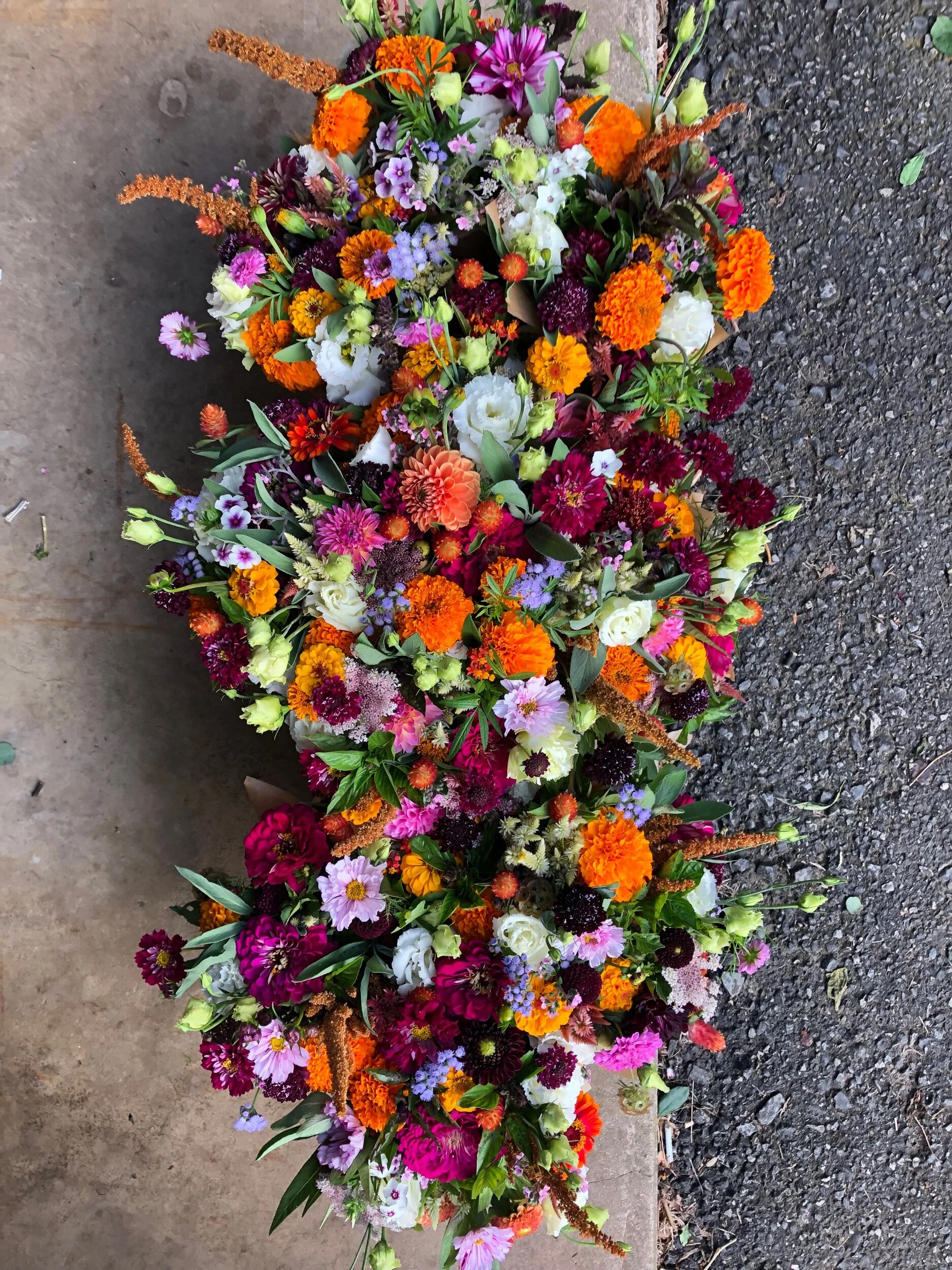 D8FA5A04-5E86-4851-97B1-5250E5E11353