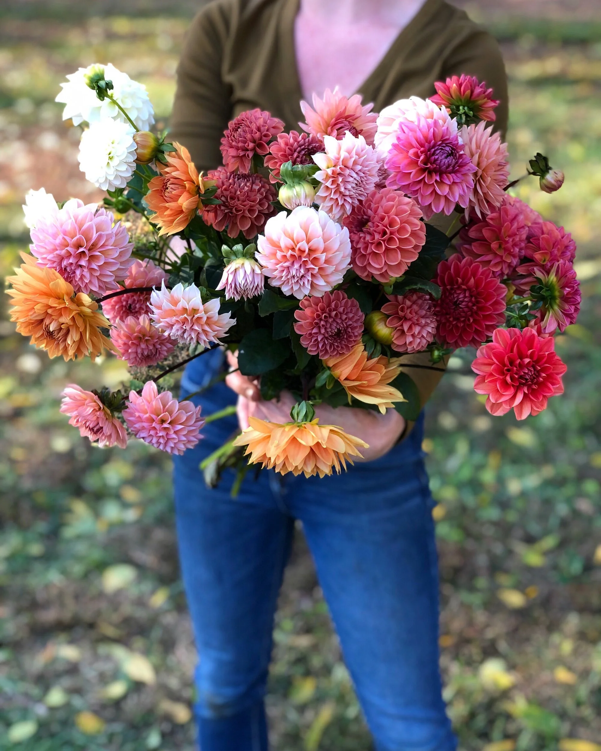 2C9A5945-8A8B-43E6-9FF9-C64F692CB8D5