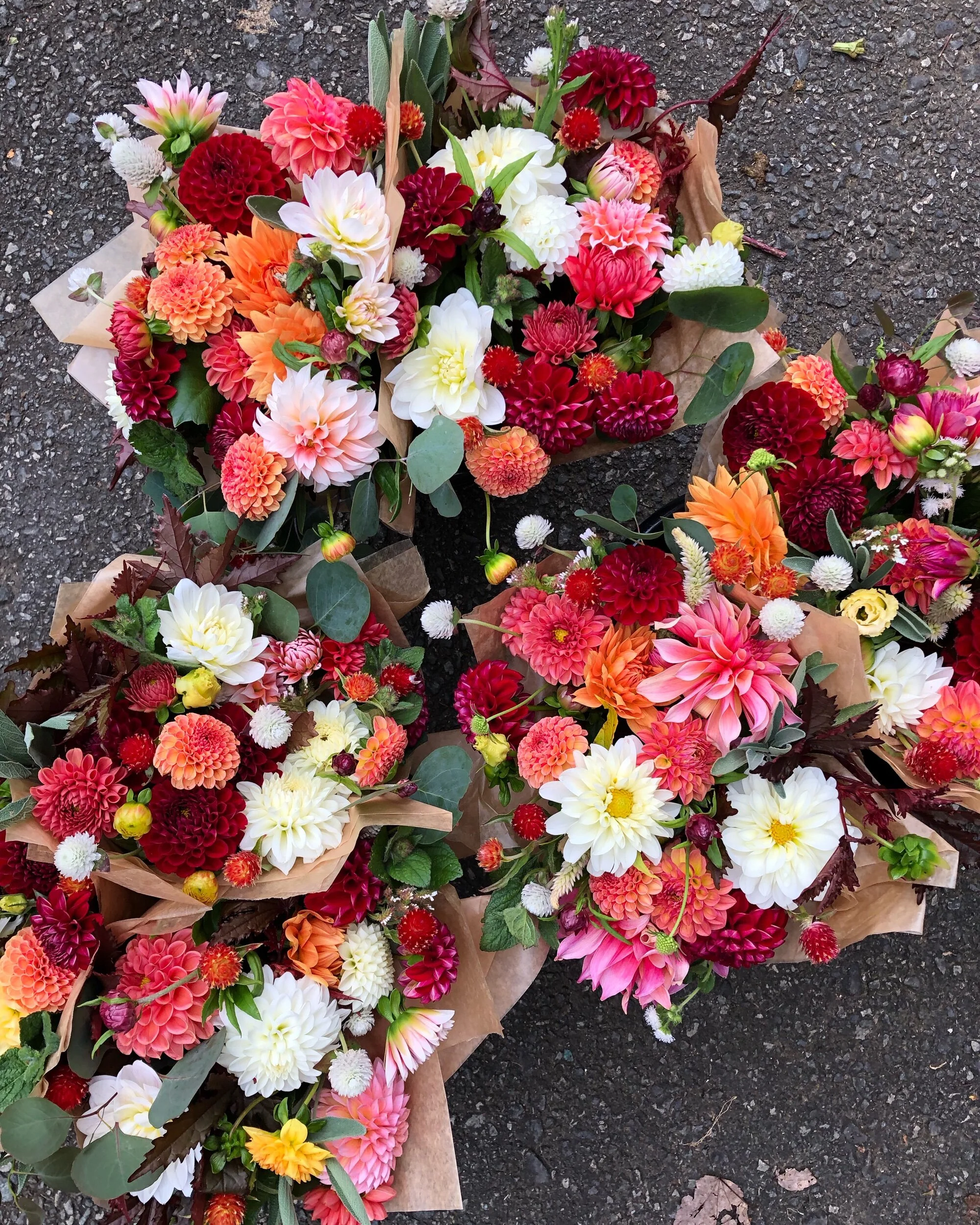 B5DB3C2D-A51E-4BFB-90FC-EAF1C21B5ACD