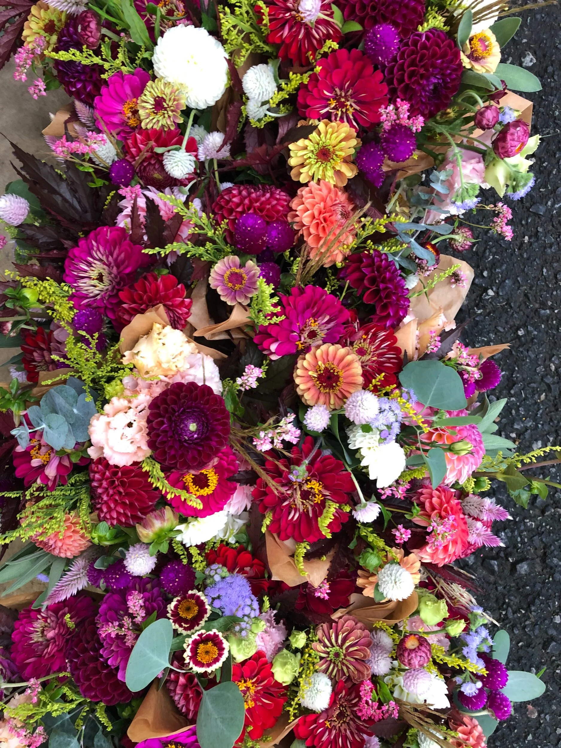 F55D5AC5-7663-4BFF-BCDB-9F1E62C746F2