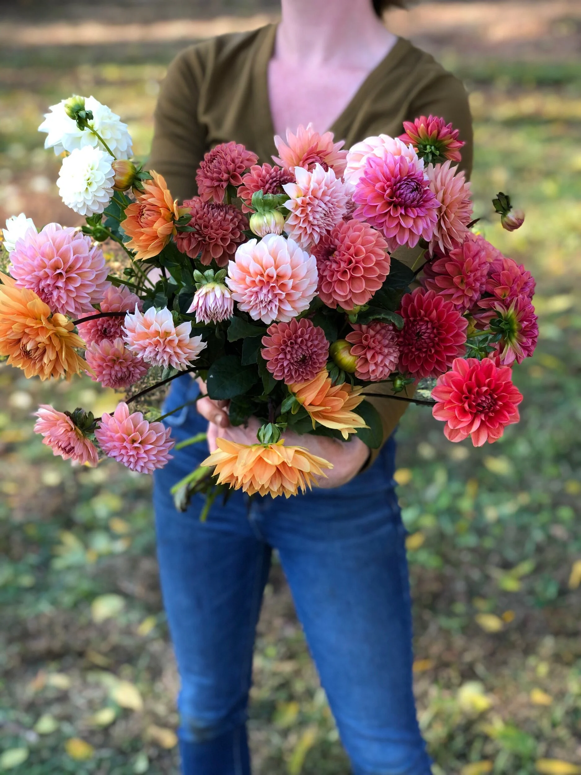 852BAAE9-D840-488D-875F-9E9324A45C07