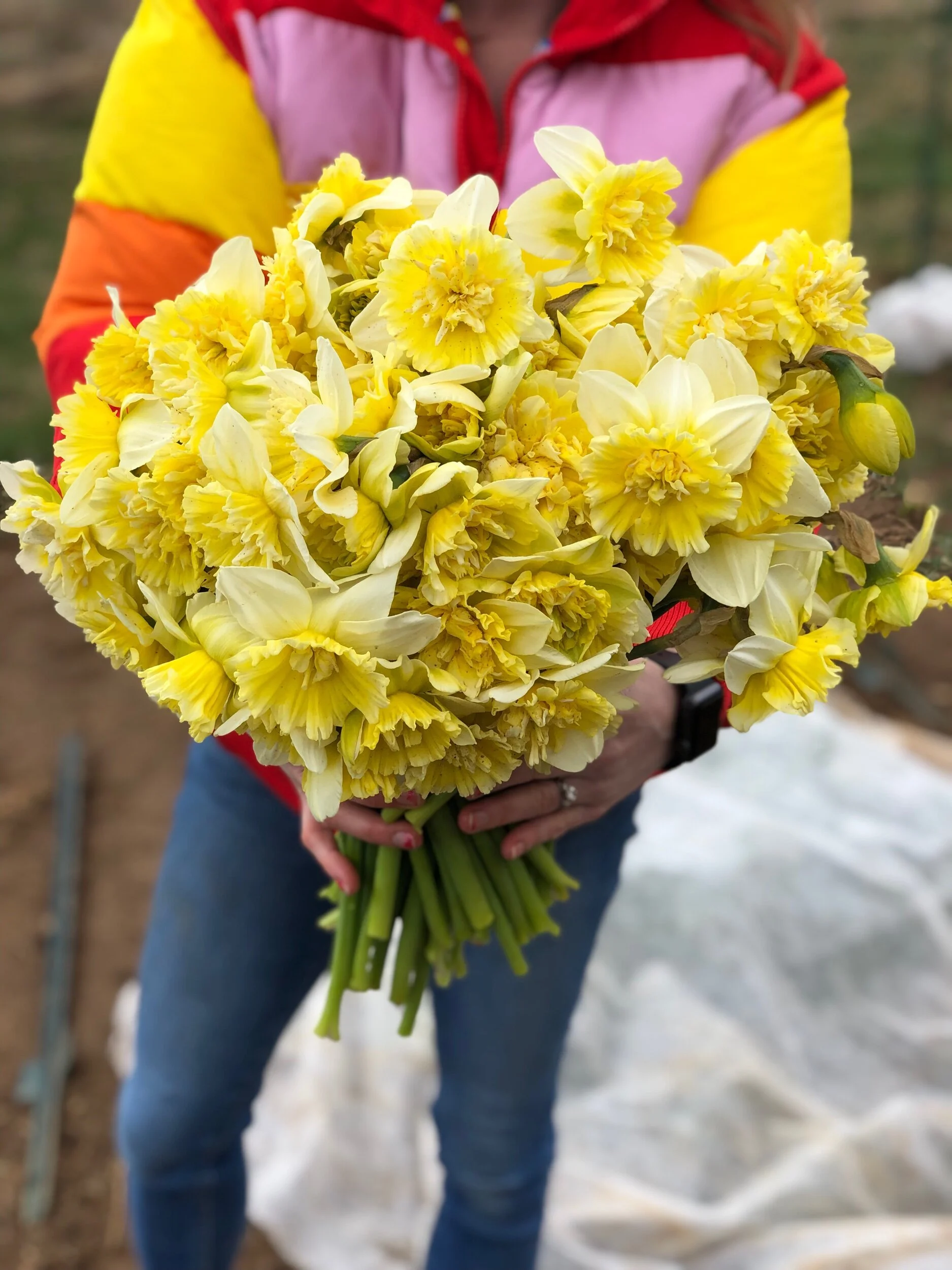 C609E742-0426-456F-B72A-8F73195B2AD9