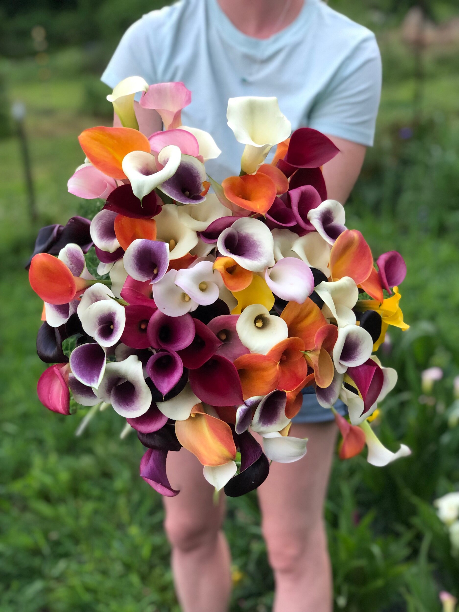 9410F32F-0AC7-4BA5-BD49-A8EDD89BF871