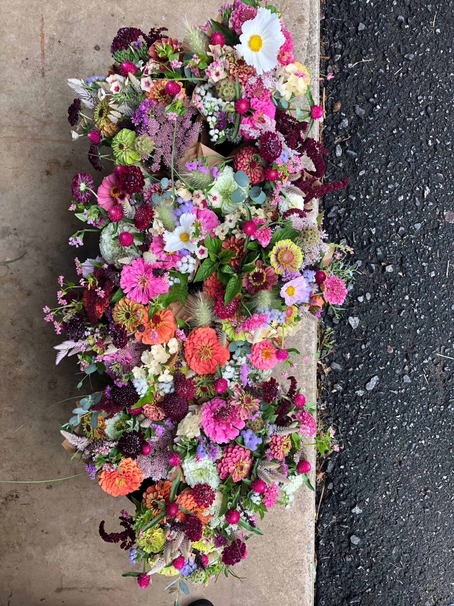 FC36778B-4C0C-4742-A19E-C6DC1A22CBEB