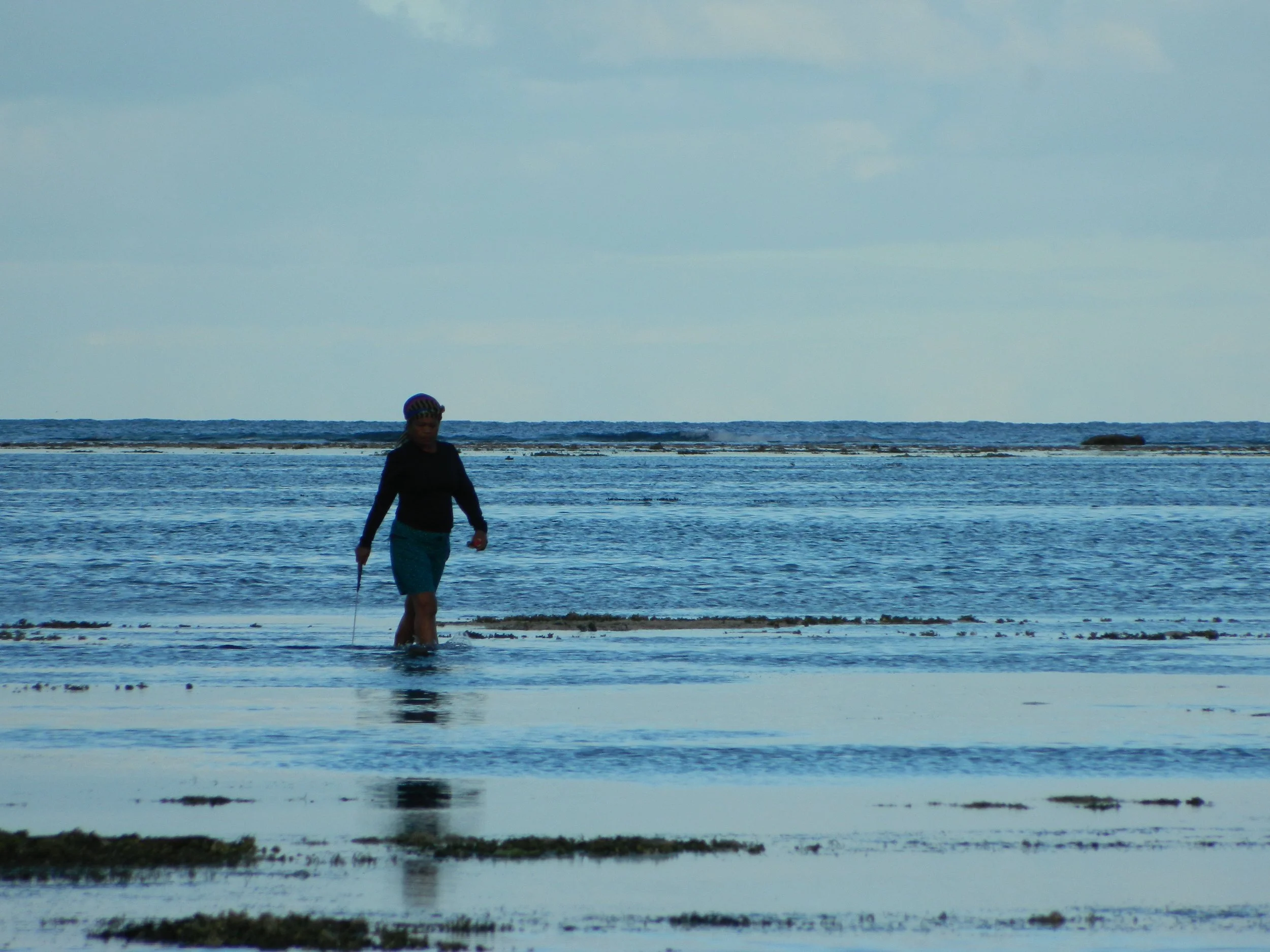 Blue Ocean Law helps secure joint allegation letter from UN Special Rapporteurs on U.S. military activities in Palau