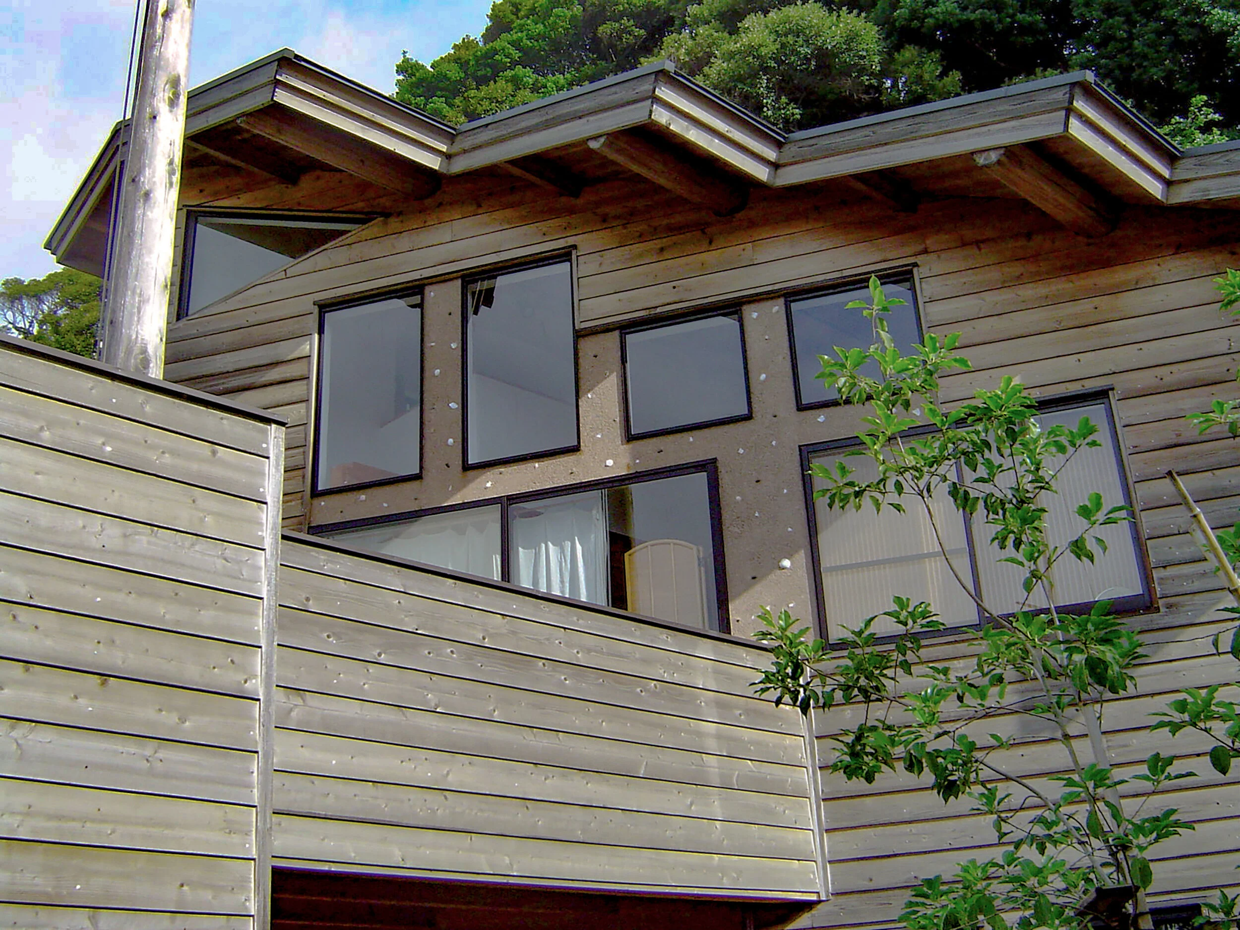 back roof.jpg