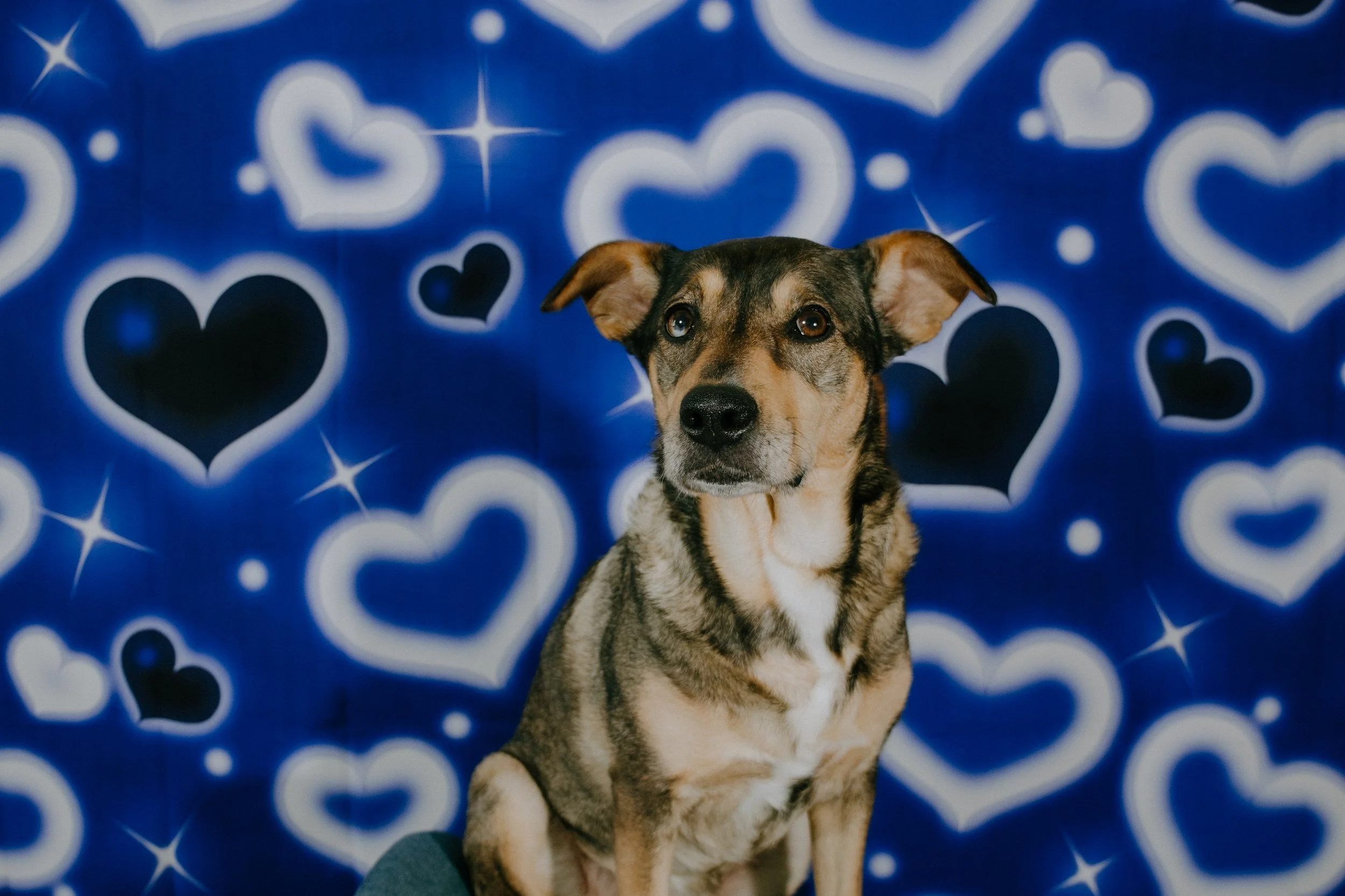 pract.stella-3.jpg