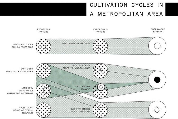 Cultivation Cycles