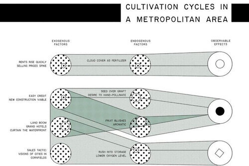 EvenTheApple_CultivationCycles.jpg