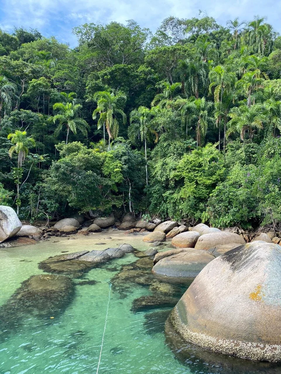 WhatsApp Image 2020-03-25 at 10.01.26 AM.jpeg