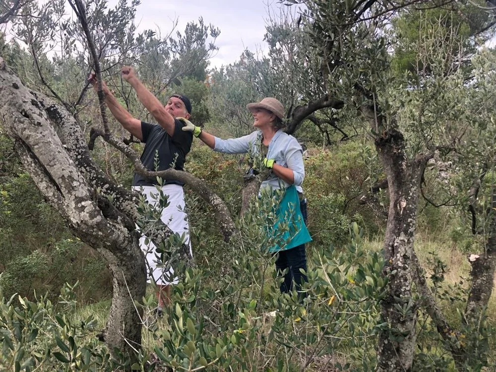 ...but Kelly thinks he missed some (Copy)