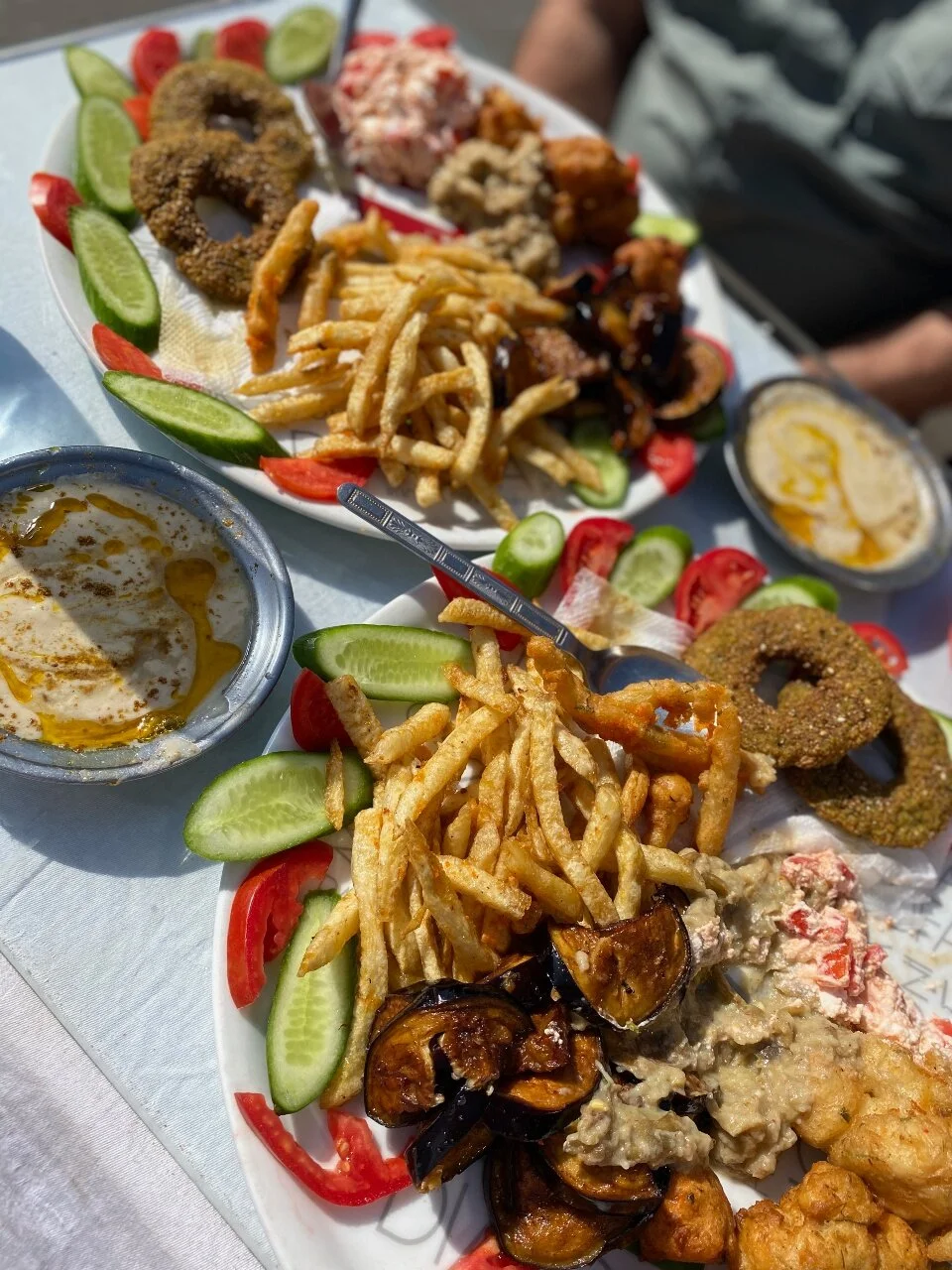 Abo Ahmed's Falaffel lunch ($5 each)