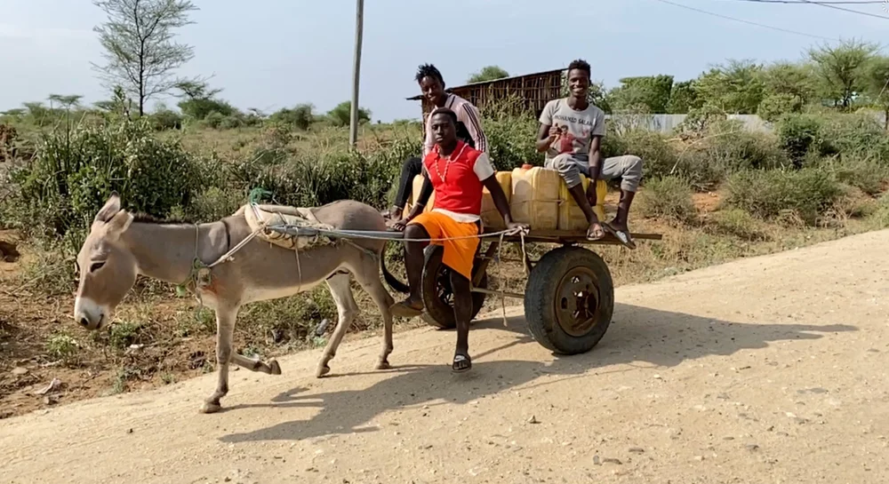 And transportation of water require woman or donkey power (Copy)