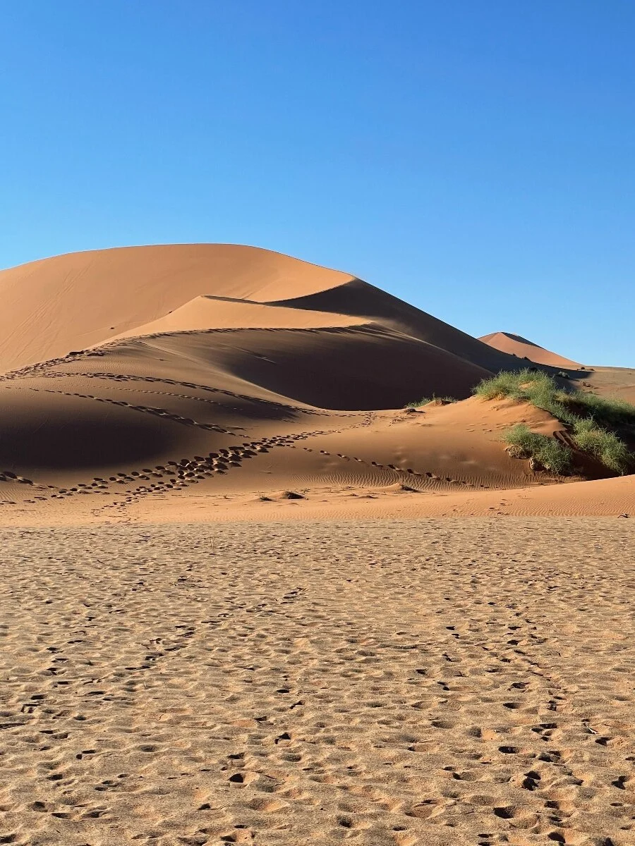 Sossusvlei dune.jpeg