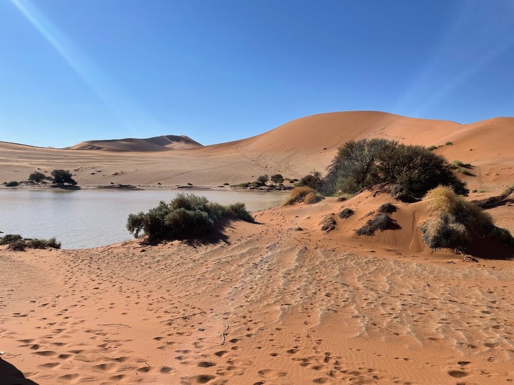 Sossusvlei lake.jpeg