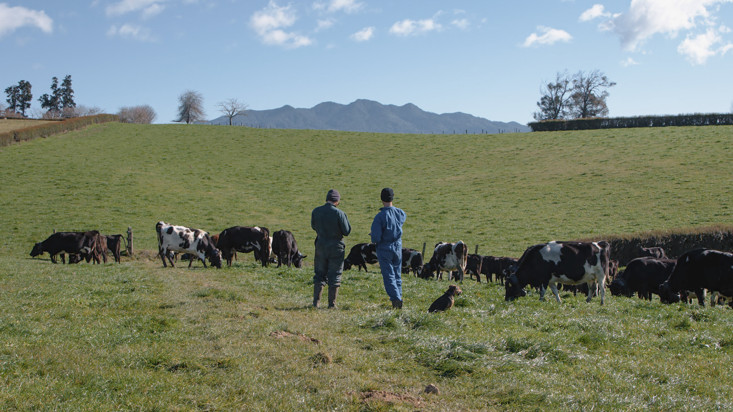 Halter Farmers — Halter - Welcome to the future of farming