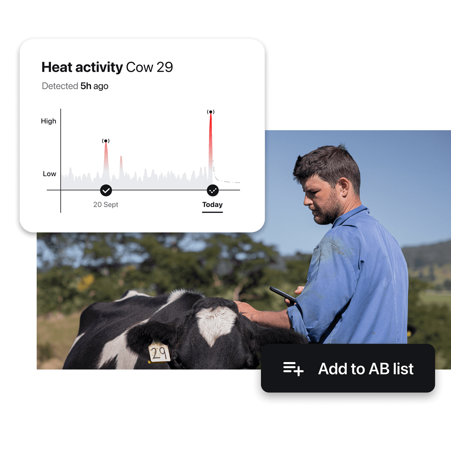 Heat Detection and Health Alerts Smart Cow Collars — Halter