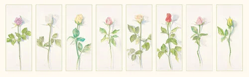 Watercolor-Rose-Series.jpg