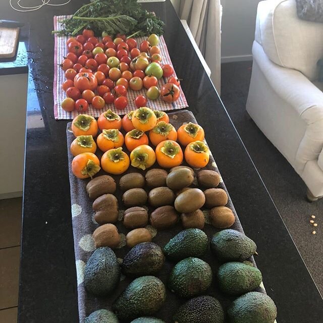 We grow our food knowing that it&rsquo;s going to be consumed by our nearest and dearest. That is why it is so important to us as a management company that we are constantly researching and striving for more sustainable and natural ways to farm. 
As 