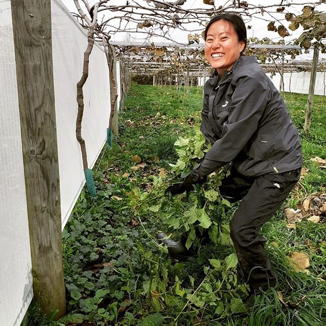 Referendum 2020 - Cultivate Votes No to WEEDS! 
A friend and colleague once told me that there is no such thing as weeds. They are just plants in the wrong place.

We are trying to limit our glyphosate use going forward and therefore some of these bi
