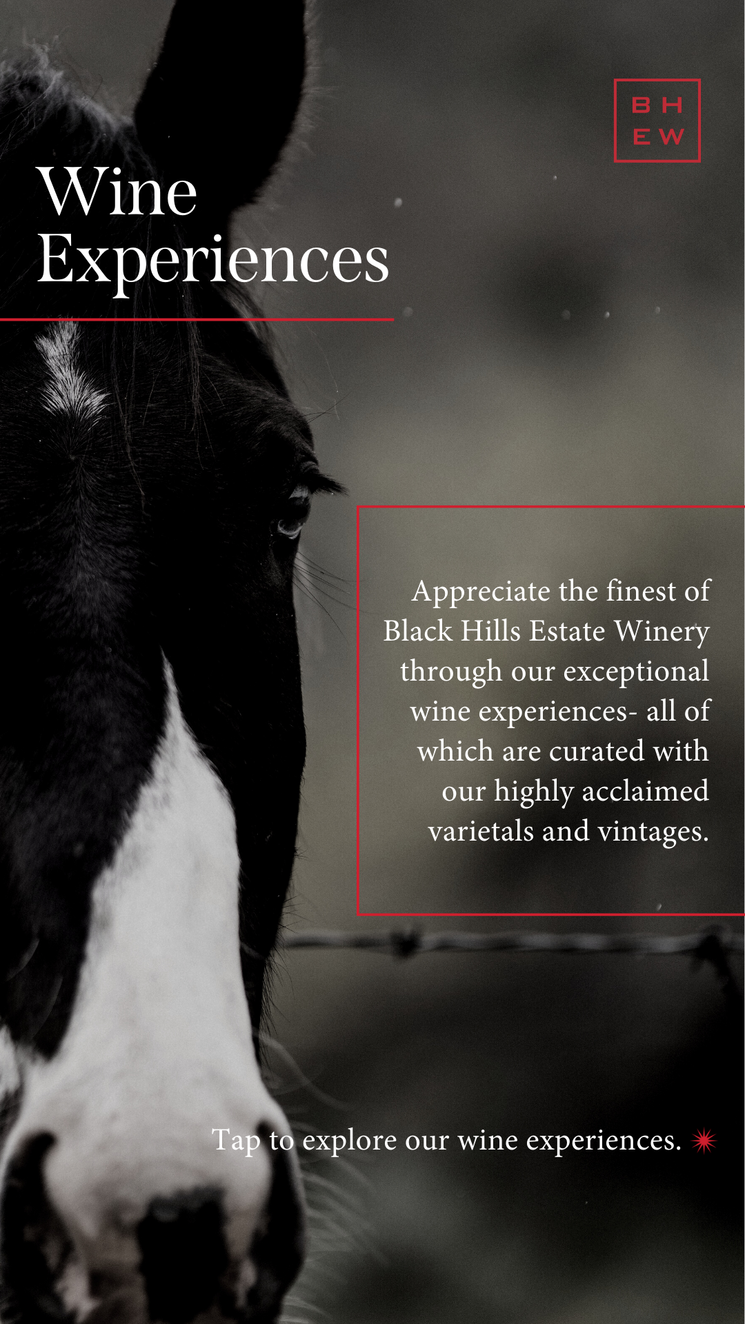 [BHEW] Wine Experiences - Refresh.png