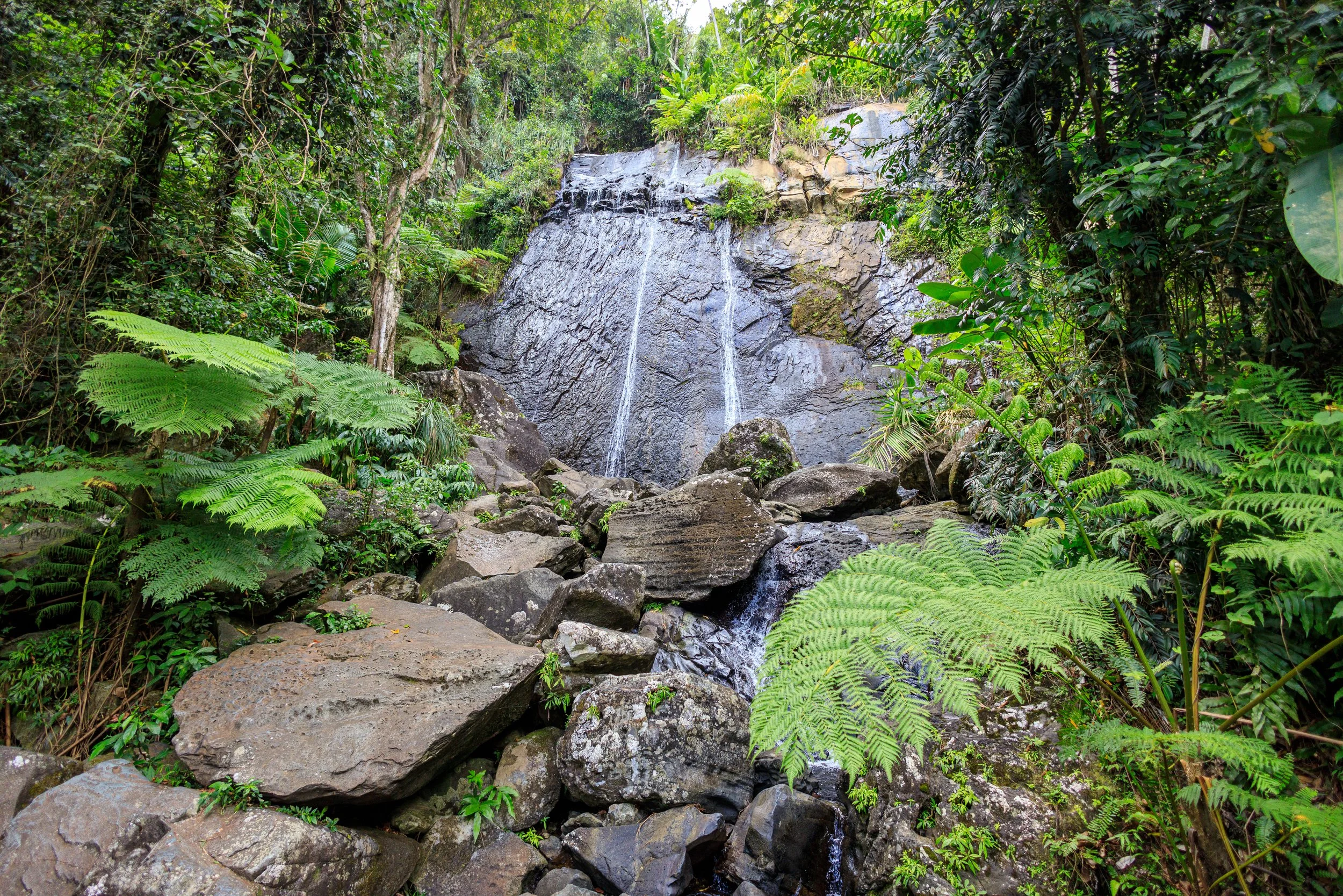 La Coca Falls in Puerto Rico - Prints Available