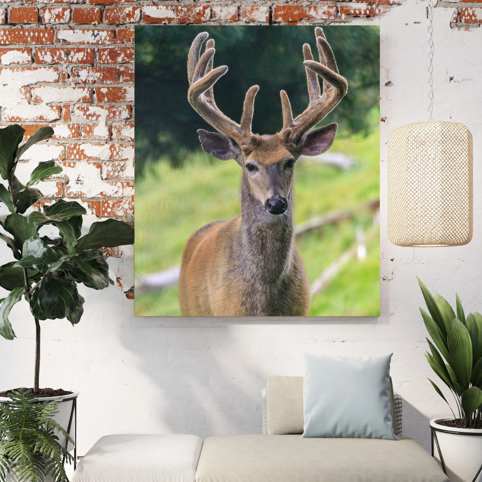 New prints are now available in my online shop! And, for a limited time this holiday season, save 25% on all prints! Use code "HOLIDAY25" at checkout.

https://sarahmichalsphotography.pic-time.com/art