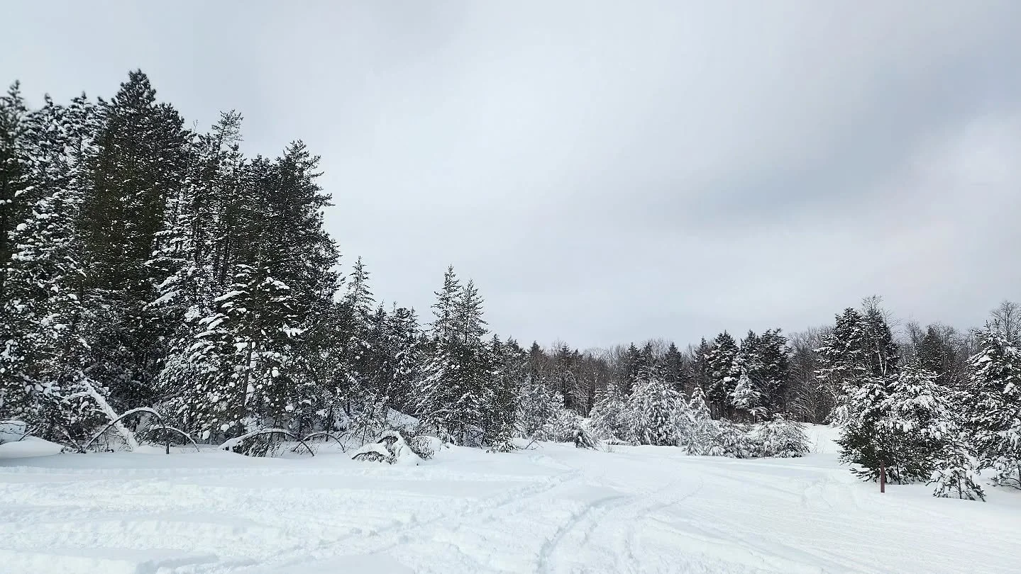 Had a wonderful time with @jenbeckett906 yesterday on the trails capturing some truly awesome content. Thank you so much for an amazing day!

I can't show you what we captured (yet) but I can show you this beautiful spot. 

#michiganphotographer #win
