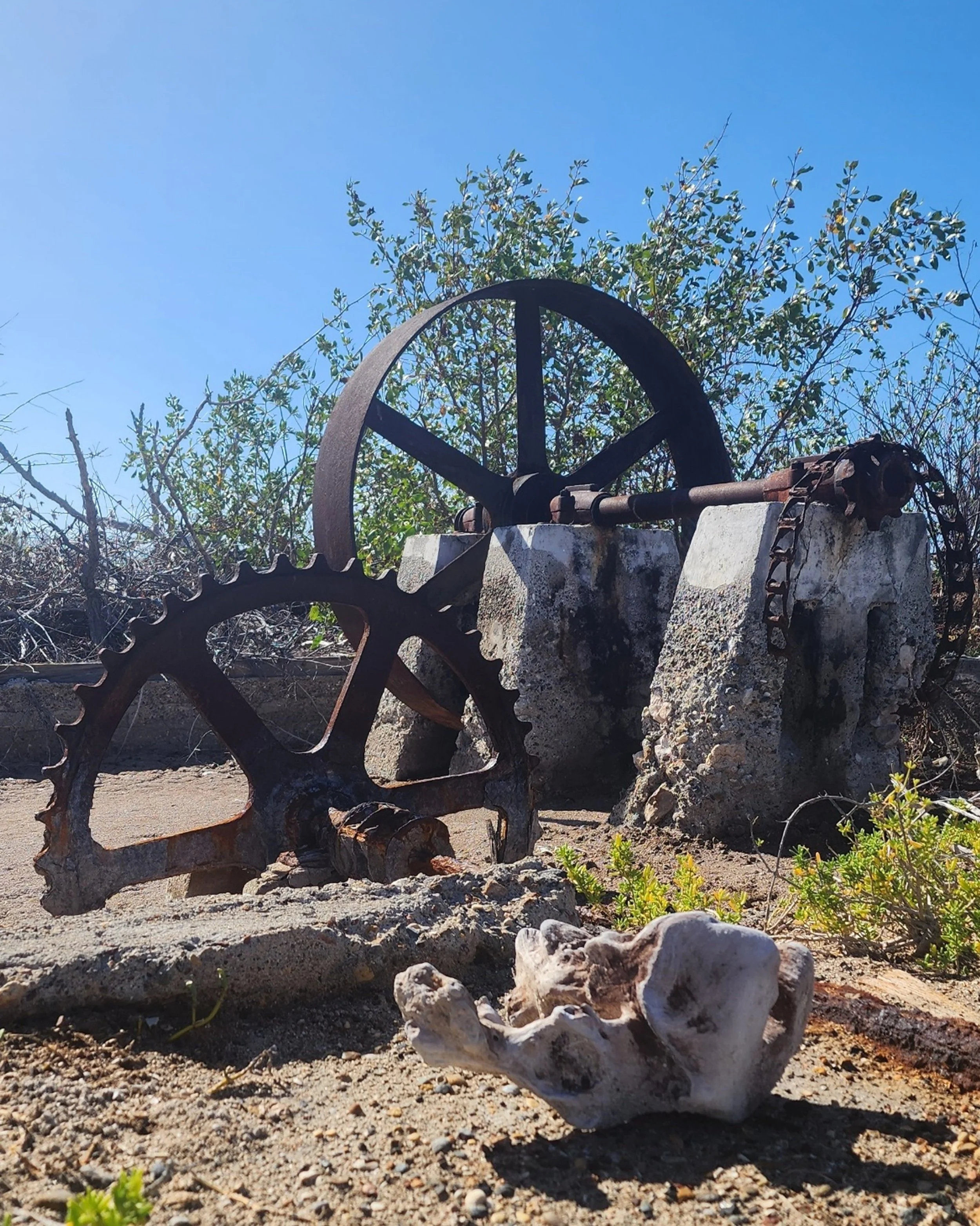 Abandoned Salt Mining Equipment in Puerto Rico