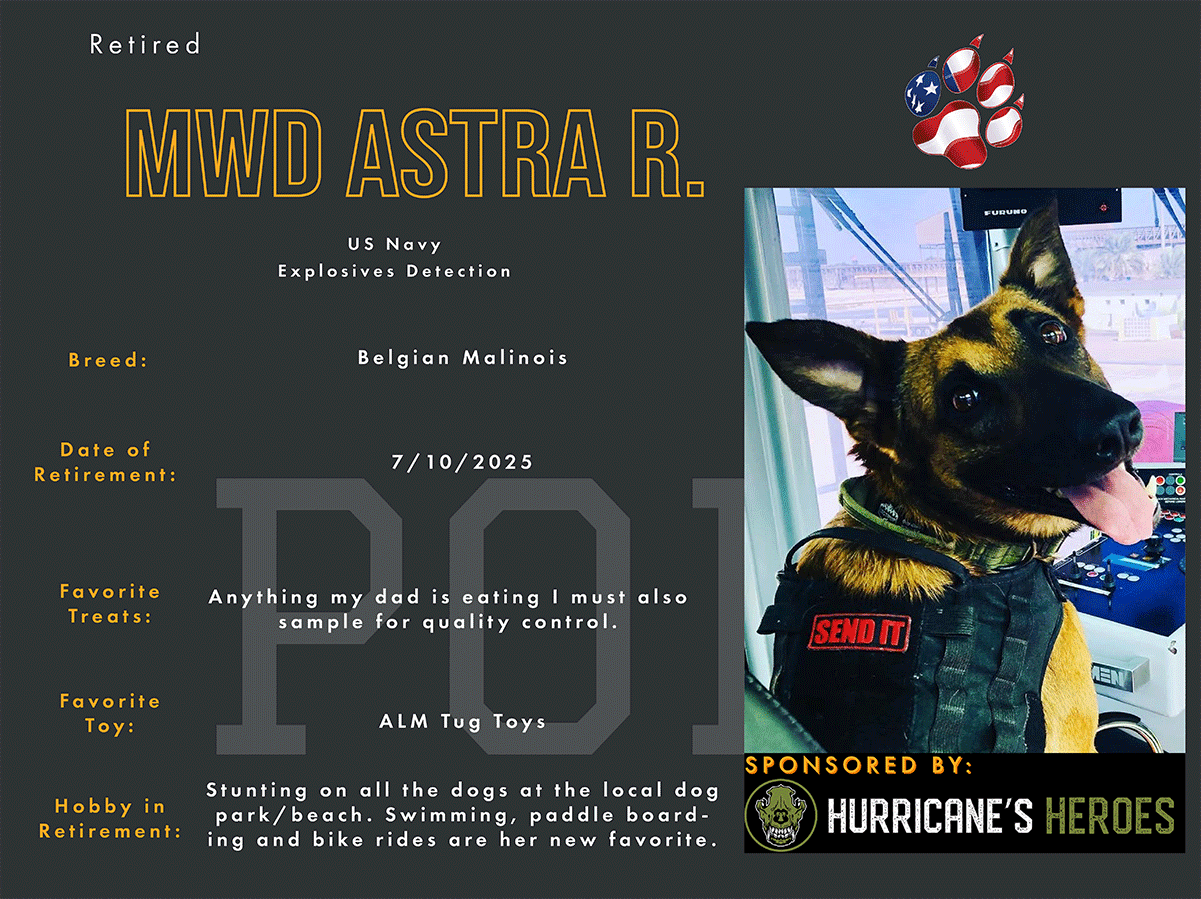 astra-pics_0004_astra-r.png