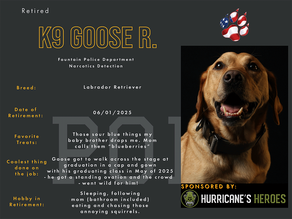 K9 Goose | Fountain, CO PD