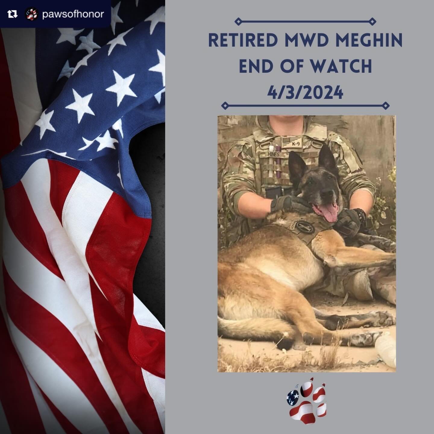 EOW MWD Meghin 🎖️

Remembering a hero today and everyday. Thank you for your loyal service Meghin. Our thoughts and prayers are with your handler and family.

To learn more about Meghin&rsquo;s heroic service to our country see POH&rsquo;s post belo