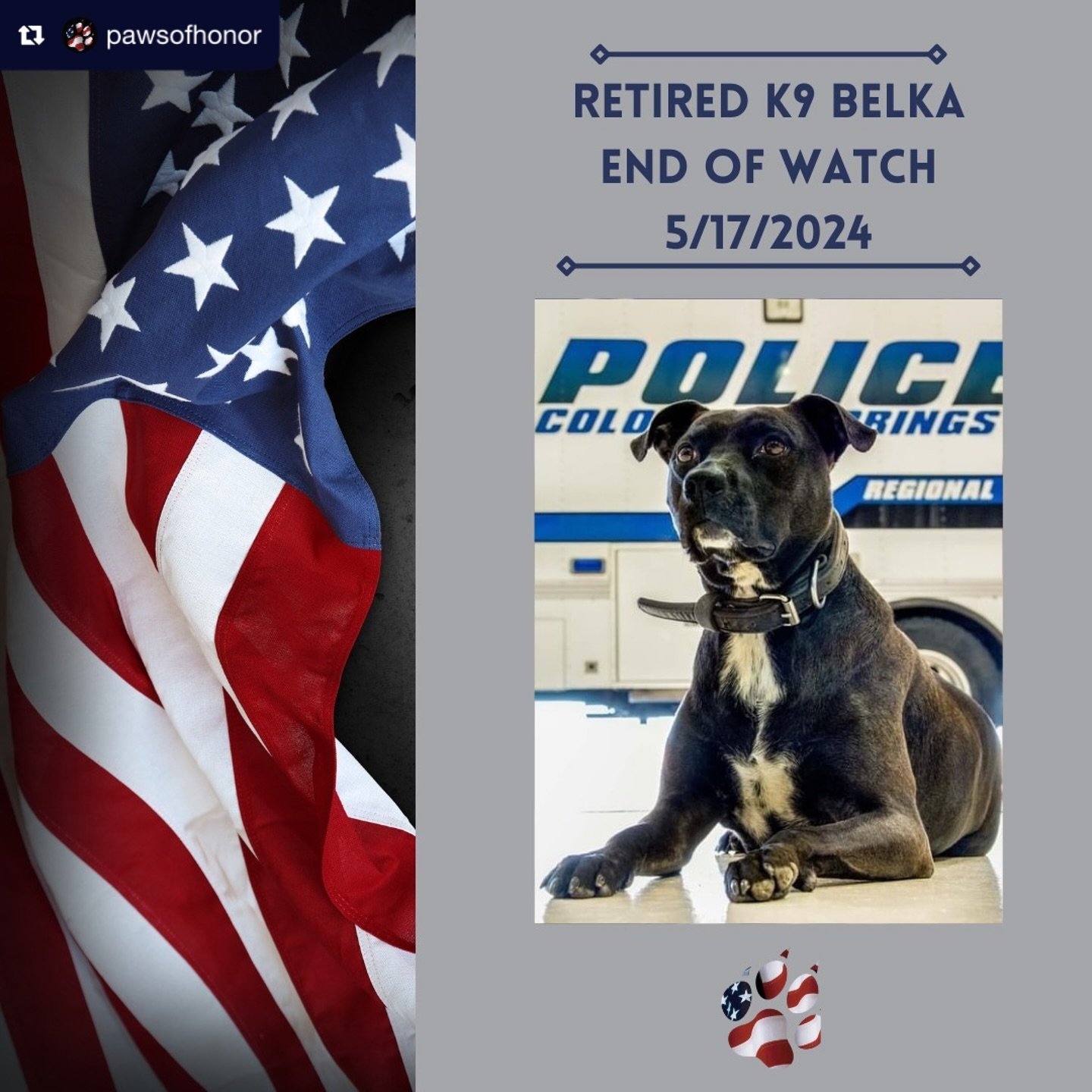 EOW K9 Belka 🇺🇸

K9 Belka passed peacefully surrounded by her loved ones on 5/17/2024.

Belka&rsquo;s owner had this to say:
&ldquo;K9 Belka served the Colorado Springs Police Department for almost a decade. She started the EOD K-9 unit. During her