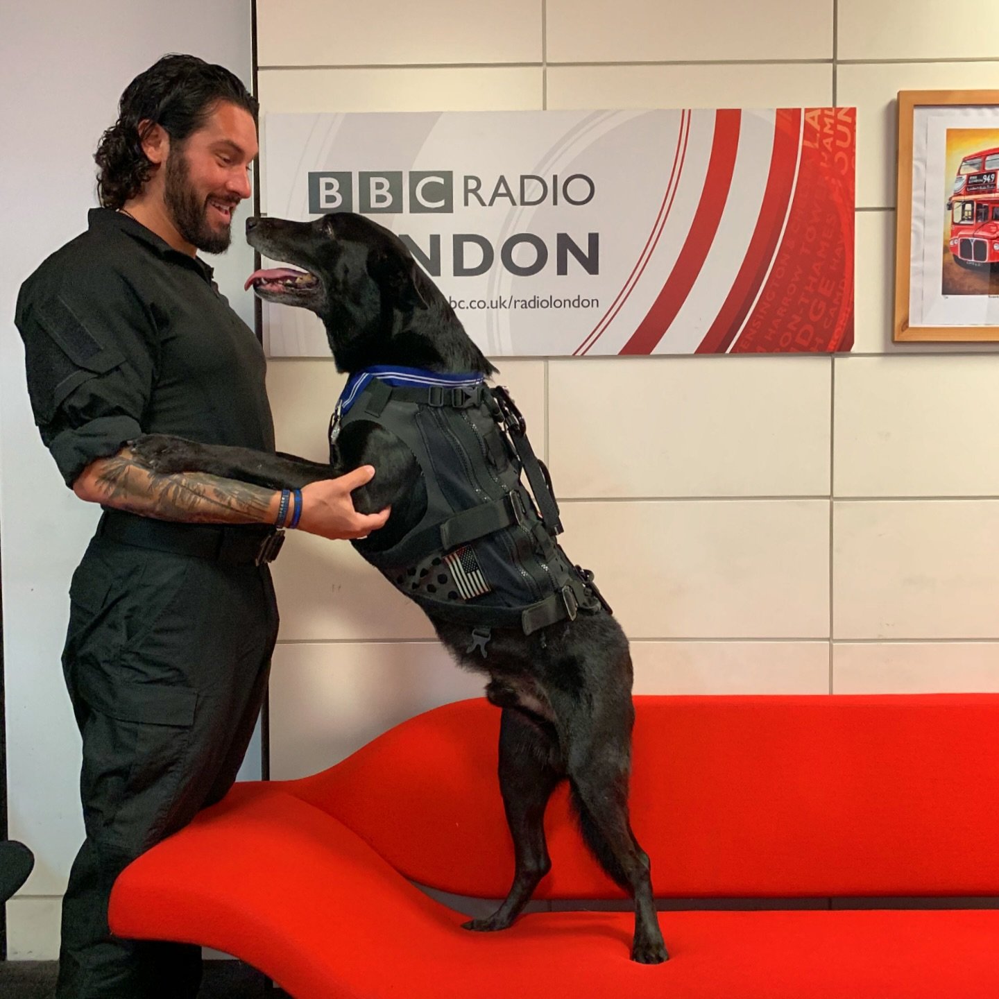 Will forever be telling the stories about this incredible dog #hurricane #jogood #bbc

https://www.youtube.com/watch?v=mVBgbHUutUc
