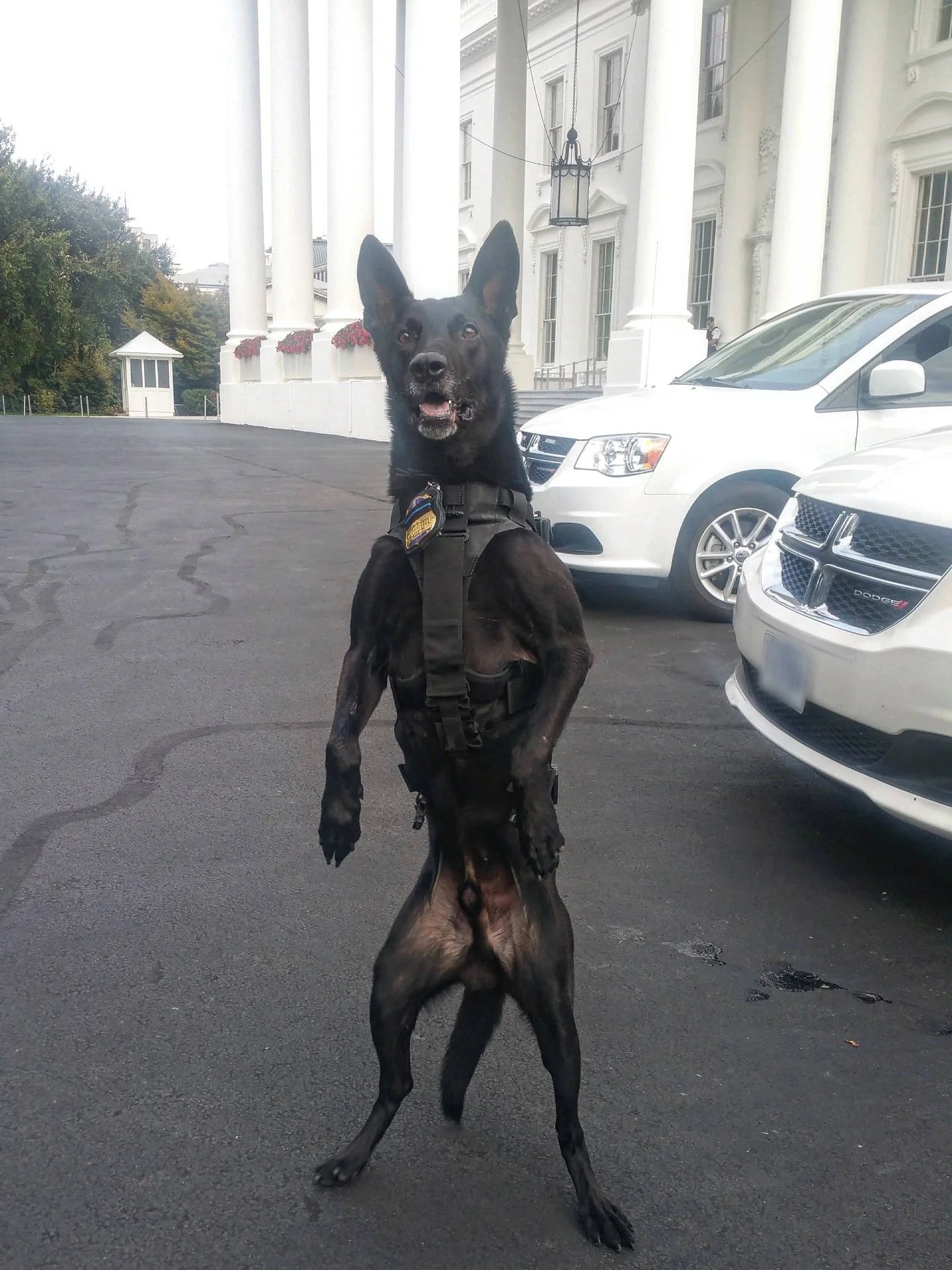 Happy Monday! 

TB Hurricane working at the White House