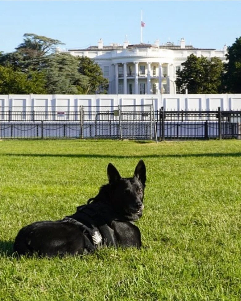 Hurricane loved going back and visiting the WH in retirement