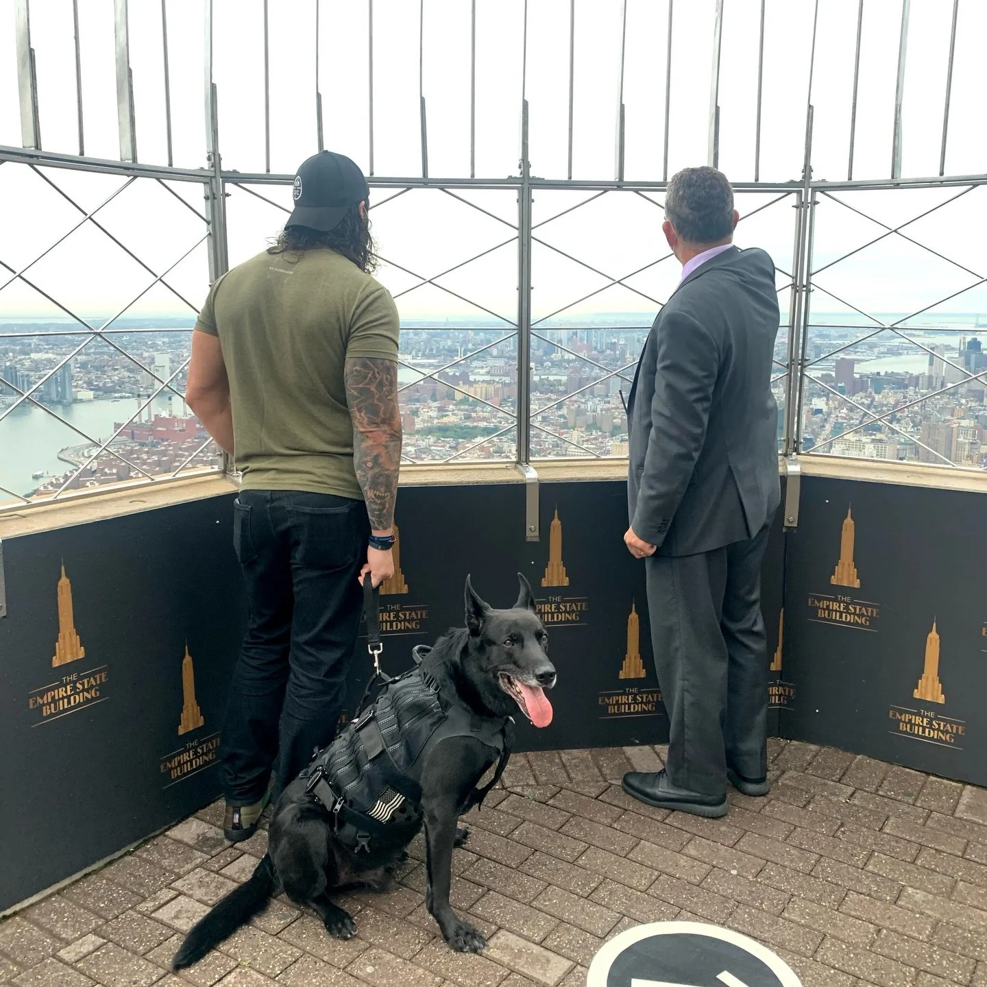 That time Hurricane had a private tour to the top of the Empire State Building 🌆

#2020 #nyc #empirestatebuilding