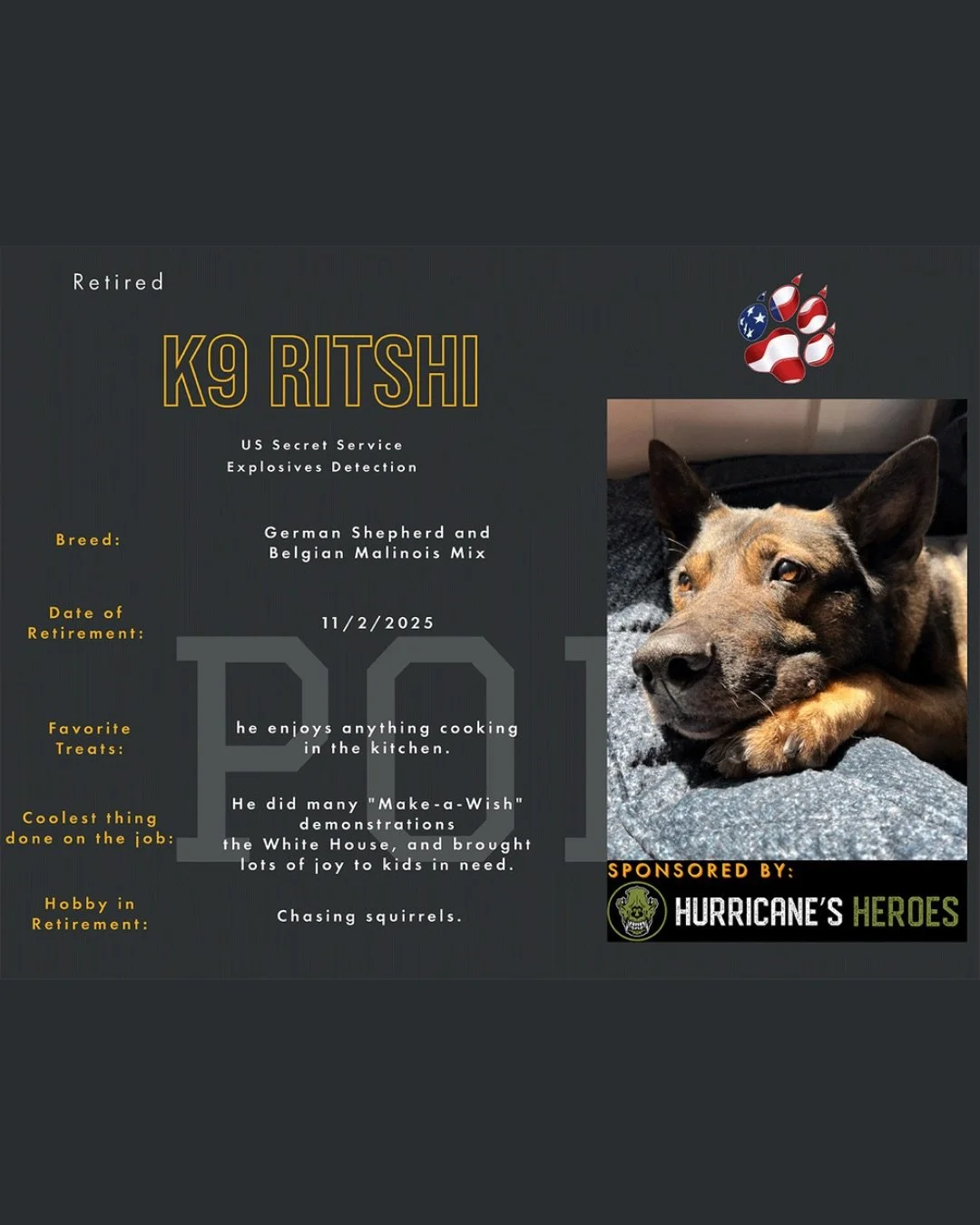 📣Meet K9 Ritshi📣

K9 Ritshi is a retired working dog with the United States Secret Service and one of our newest sponsored pups!!

Ritshi has traveled to 23 countries (some multiple times). He also enjoyed doing &ldquo;Make-a-Wish&rdquo; demonstrat