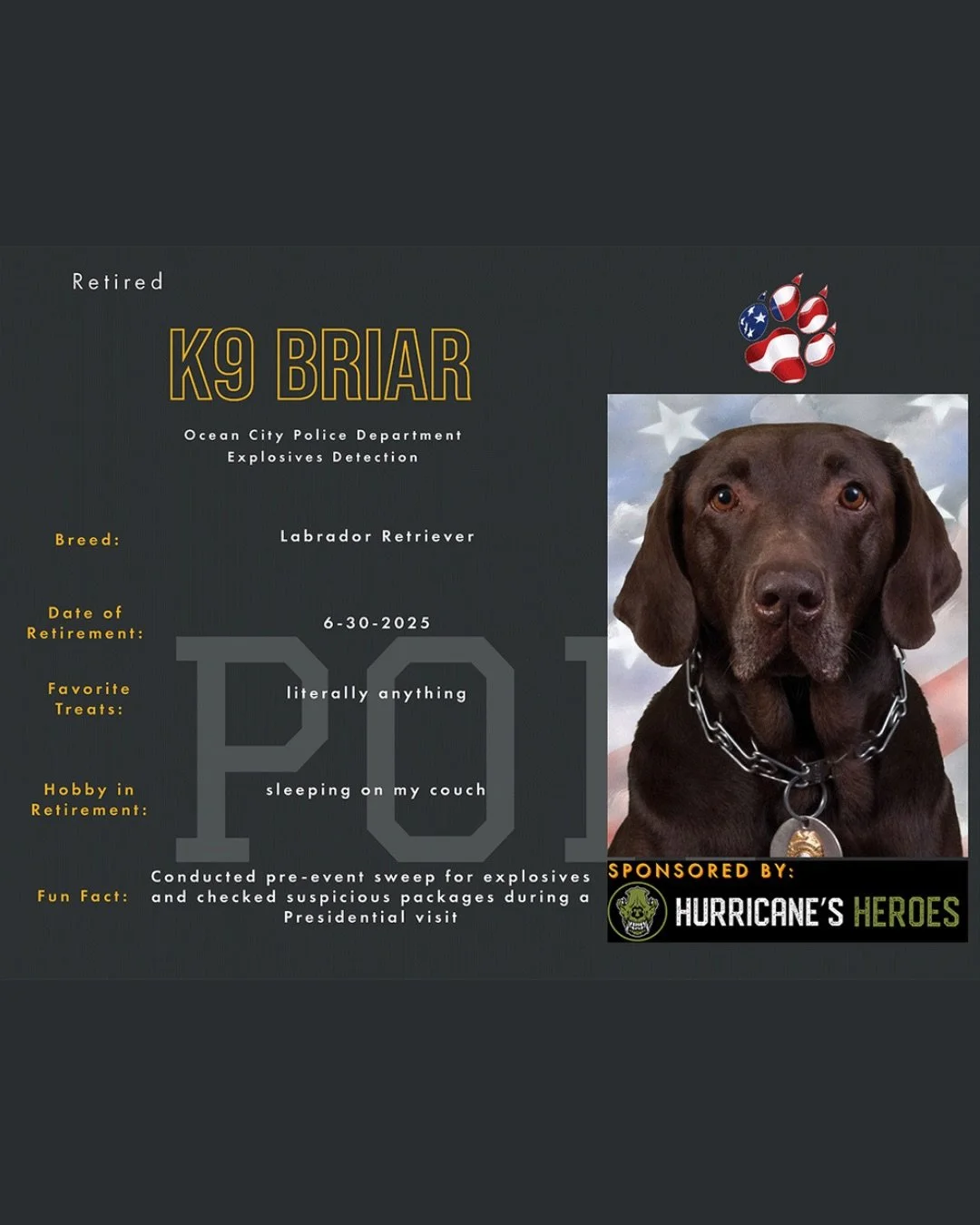 📣Meet K9 Briar📣

K9 Briar is a retired working dog with the Ocean City New Jersey PD and one of our newest sponsored pups!!

Briar was donated to the Atlantic County K9 Academy after being rescued from a shelter in South Jersey. We were partnered i