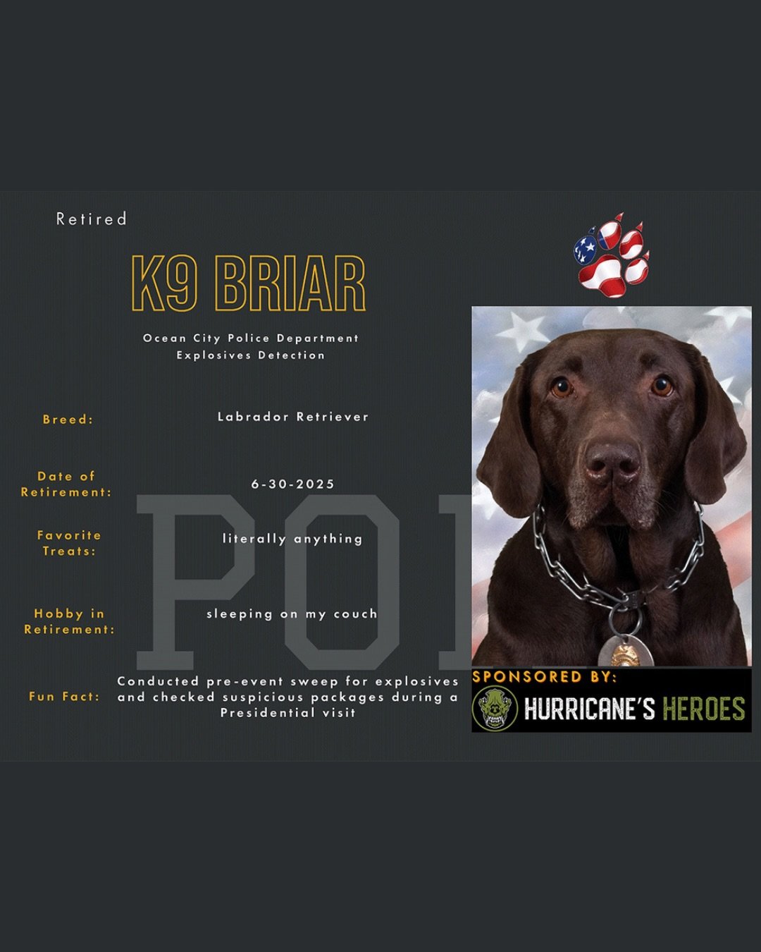 📣Meet K9 Briar📣

K9 Briar is a retired working dog with the Ocean City New Jersey PD and one of our newest sponsored pups!!

Briar was donated to the Atlantic County K9 Academy after being rescued from a shelter in South Jersey. We were partnered i