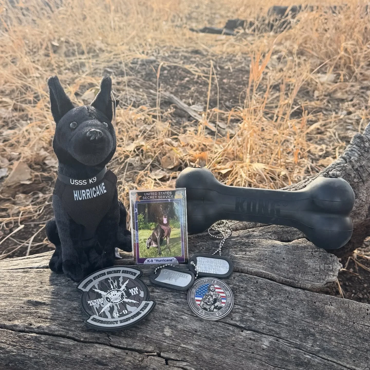 One year ago today without our legend, Hurricane. 🇺🇸Still hard to think and talk about. We miss him so much.

Today we visited a trail we often took Hurricane to in Colorado Springs. We took this video of Hurricane walking through the field by this