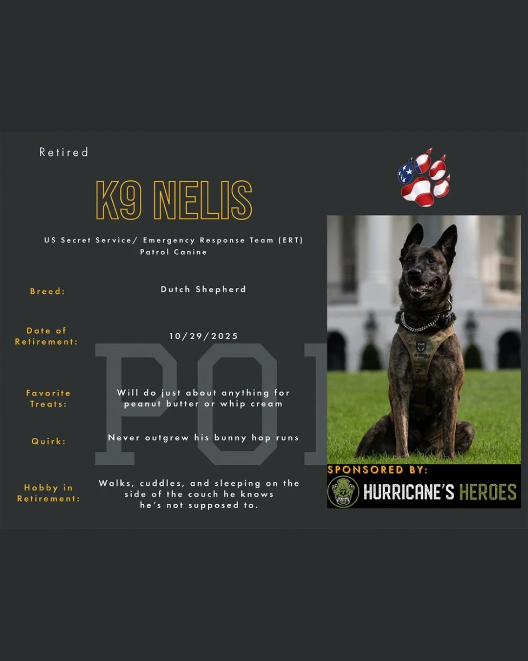📣Meet K9 Nelis📣

K9 Nelis is retired U.S. Secret Service ERT and one of our newest sponsored pups!!

Nelis has worked in Washington DC, Maryland, Florida, Delaware, New York, New Jersey, Michigan, Las Vegas, and Nantucket. He has traveled for vacat