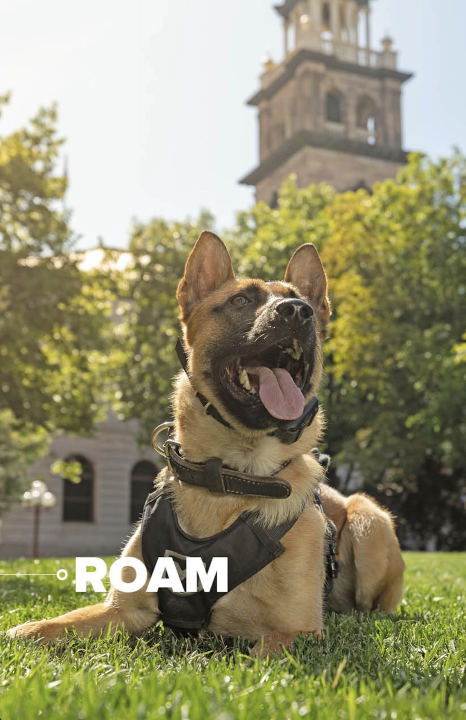 K9 Roam's Retirement Party - postponed until TBD
