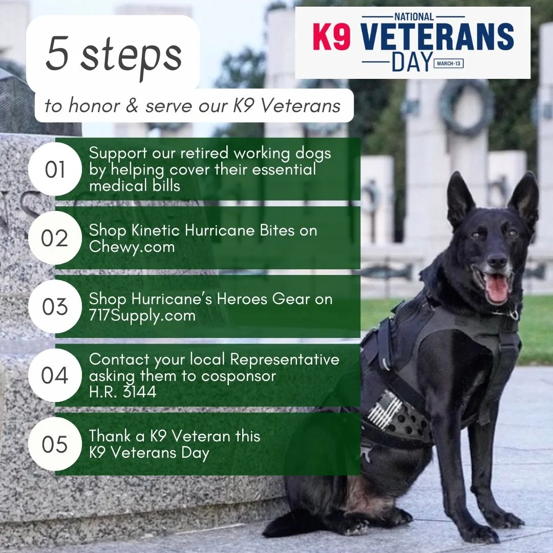 Honoring the paws that protect our freedom. Happy K9 Veterans Day to the military working dogs who serve with unwavering loyalty and courage. 🐾🇺🇸

1- Donate to Hurricane&rsquo;s Heroes and help cover the cost of medical bills for retired working d