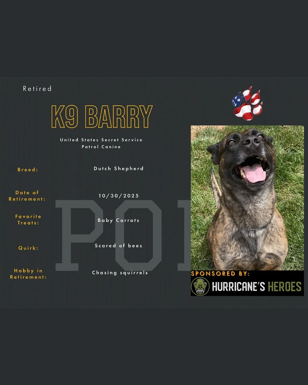 📣Meet K9 Barry📣

K9 Barry is retired US Secret Service ERT and is one of K9HH&rsquo;s newest sponsored pups!

Barry is an apprehension K9 for the United States Secret Services Emergency Response Team and has traveled all over domestically to suppor