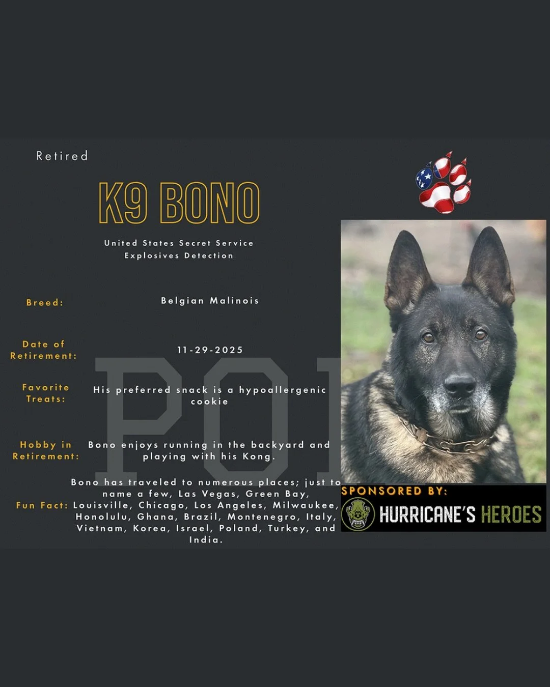 📣Meet K9 Bono📣

K9 Bono is retired US Secret Service and is one of K9HH&rsquo;s newest sponsored pups!

Bono is a 11 year old Explosive Detection, Belgian Malinois from Holland. He was assigned to United States Secret Service Protective Detail in A